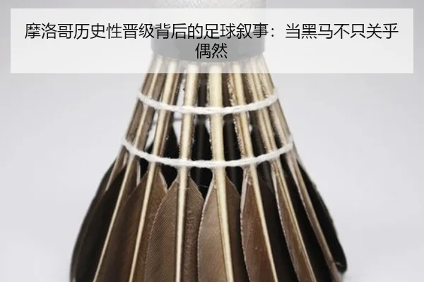 mo-luo-ge-li-shi-xing-jin-ji-bei-hou-de-zu-qiu-xu-shi-dang-hei-ma-bu-zhi-guan-hu-ou-ran-2-975.jpg